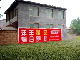 永仁如何让墙体广告展现最大化效果