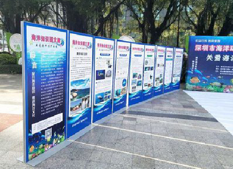 永仁KT板的种类和知识。